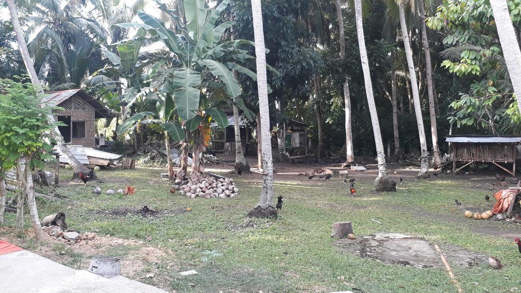 James Homestay Siquijor Eksteriør billede